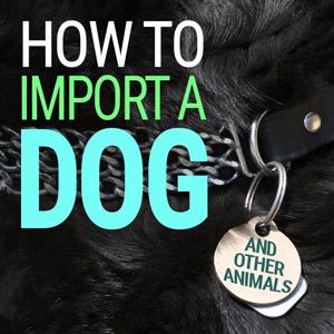 How to Import a Dog