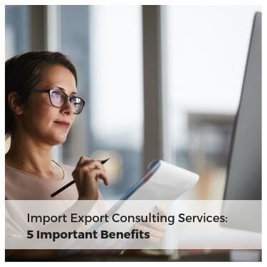 Import Export Consulting Services feature