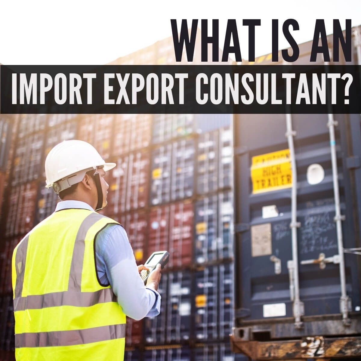 What is an Import Export Consultant
