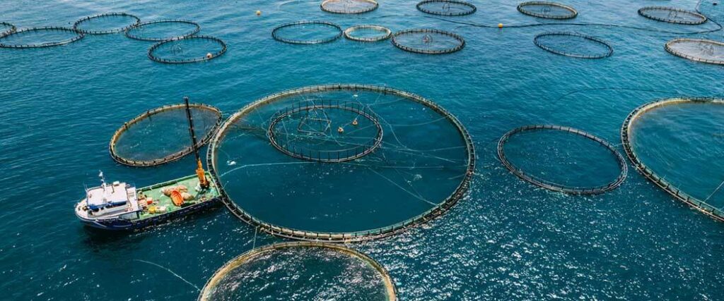 A fishing boat checking a large net for fish