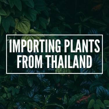 Importing Plants From Thailand