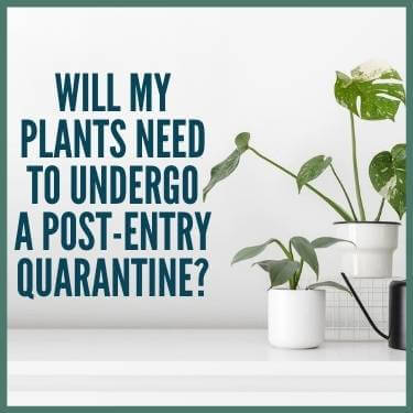 Will My Plants Need to Undergo a Post-Entry Quarantine