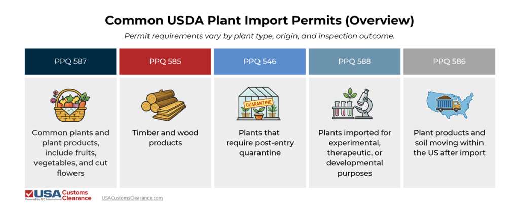 A card comparison table titled "Common USDA Plant Import Permits" depicting permits importers may need to apply for when importing plant-based commodities. The forms identified and described are as follows:

  PPQ 587: Common plants and plant products, include fruits, vegetables, and cut flowers, PPQ 585: Timber and wood products, PPQ 546, Plants that require post-entry quarantine, PPQ 588: Plants imported for experimental, therapeutic, or developmental purposes, PPQ 586: Plant products and soil moving within the US after import
