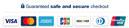 Payment Options- USA Customs