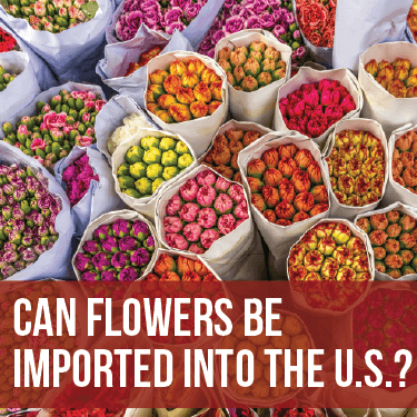 Bouquets of flowers bunched up