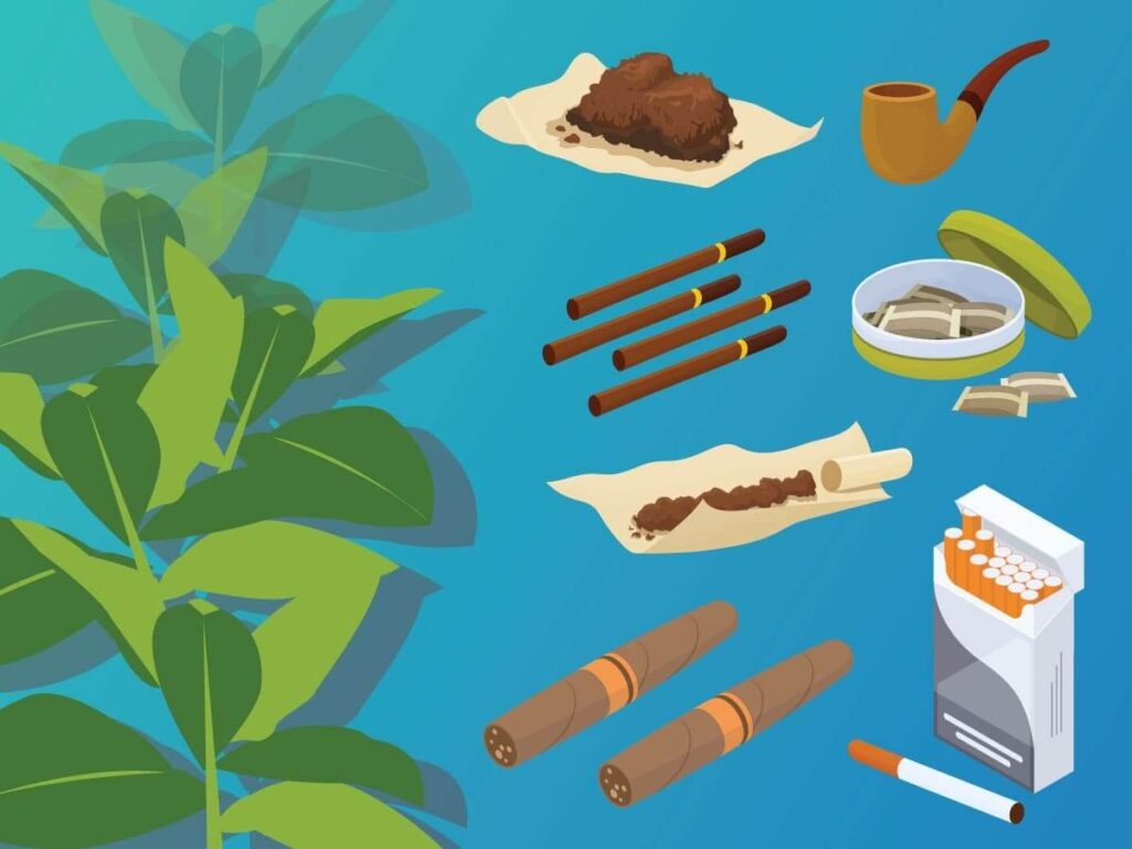A stylized digital image with a blue background depicting a tobacco plant, cigaettes, cigars, snuff pouches, a pipe, small cigars, and roll-your-own tobacco.