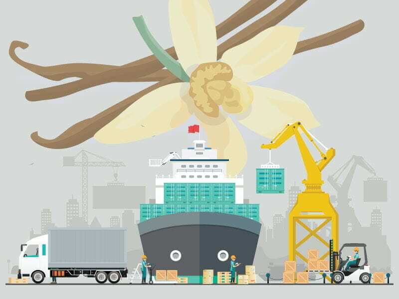 A stylized digital image of a vanilla flower and vanilla beans hovering over a cargo ship at port, with a drayage truck and forklift with dock workers in the foreground.