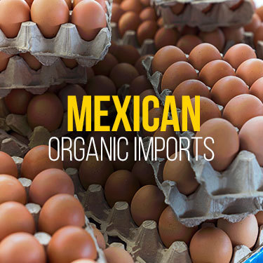 Cartons of organic eggs