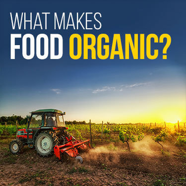 A tractor plowing fields