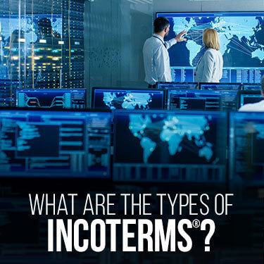 Two office workers tracking the routes of packages traveling around the world