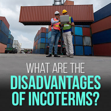 dock workers looking at a laptop while standing in front of a stack of shipping containers