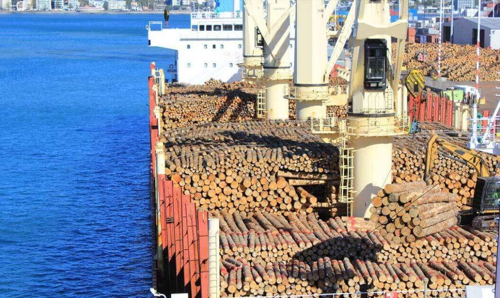 A cargo ship filled with wood being imported to the U.S.
