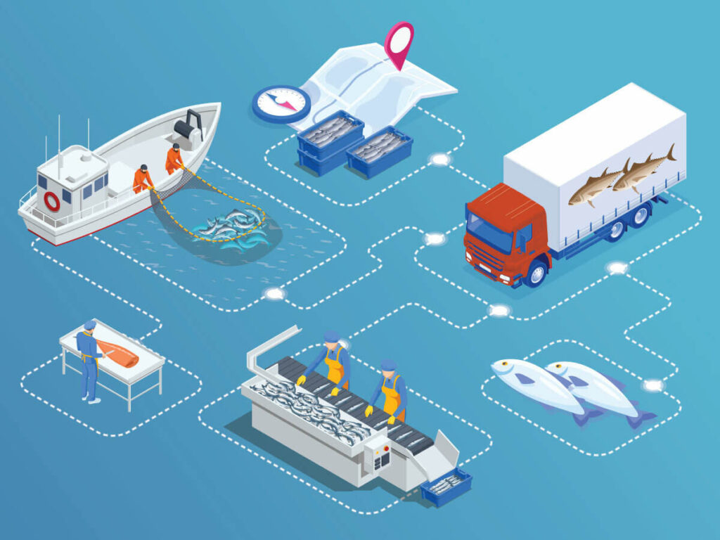 This shows how seafood is harvested, shipped, packaged, and cleaned